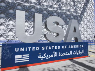 US visa sponsorships