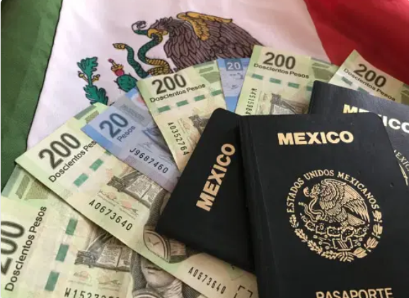 10 Most Expensive Passports in the World